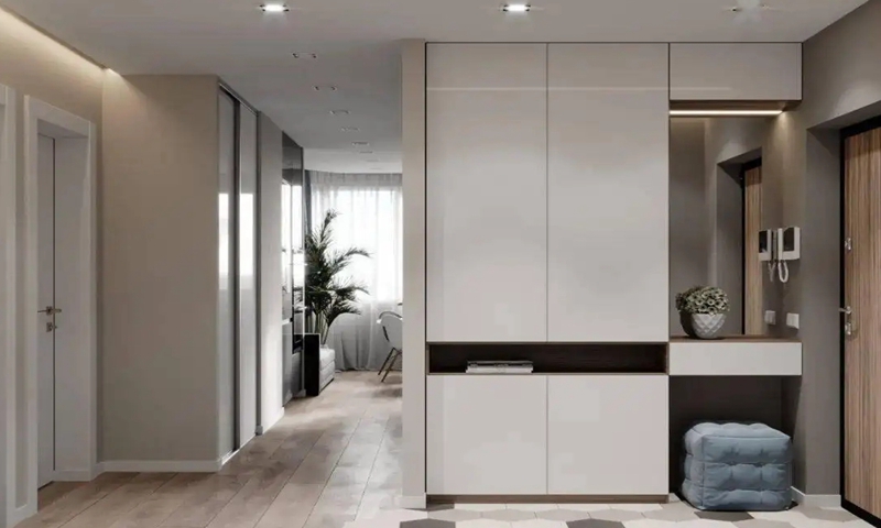 門口入戶柜玄關鞋柜置物柜定制